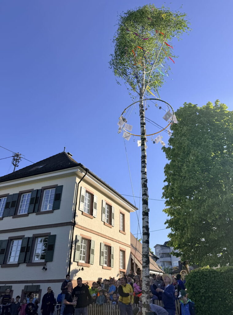 Maibaumstellen Heimatverein Karlsbad e. V. 2026