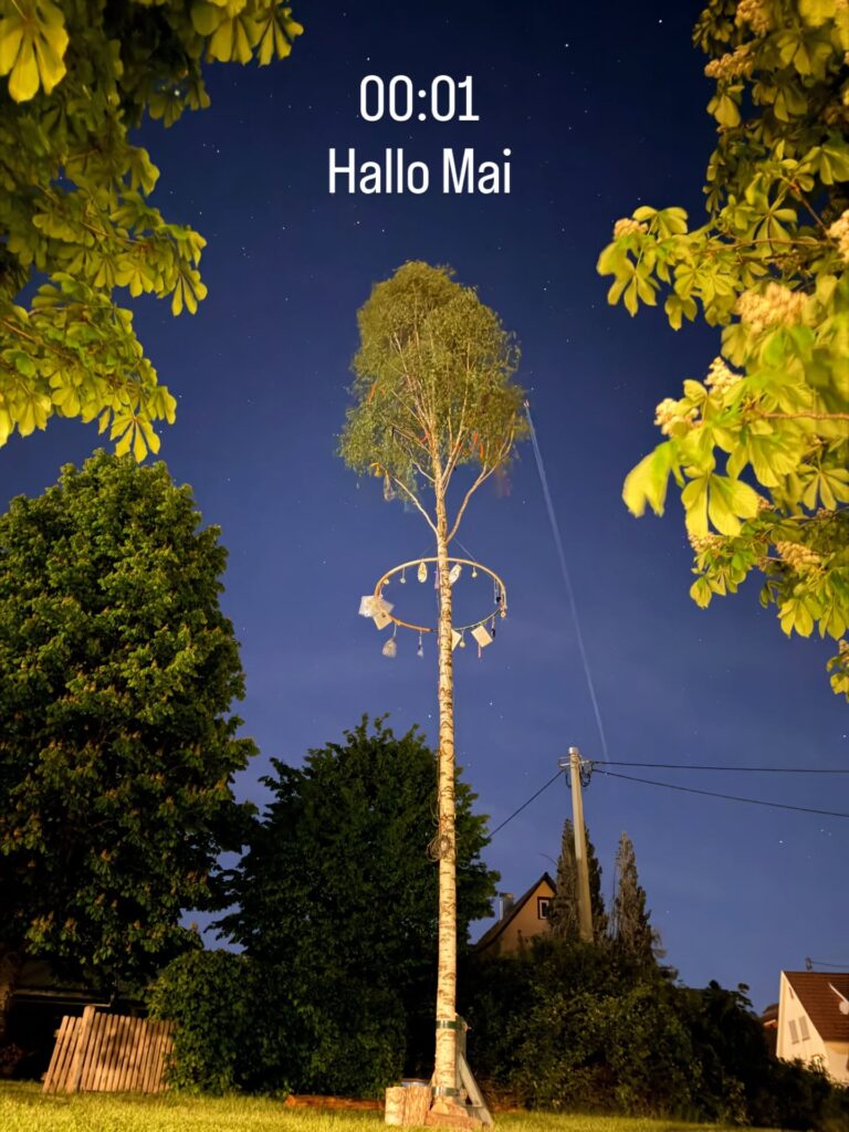 Maibaumstellen Heimatverein Karlsbad e. V. 2026